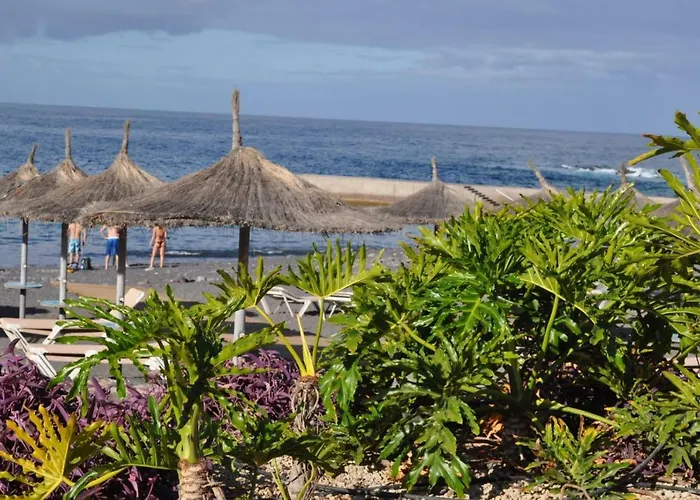 Luar Del Carmen Lejlighed