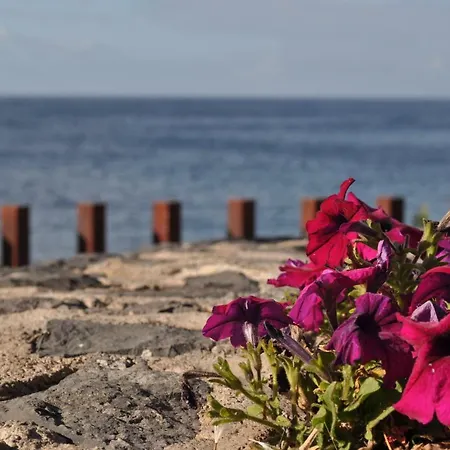 Luar Del Carmen דירה *