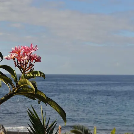 Luar Del Carmen דירה קיאו סלבאחה