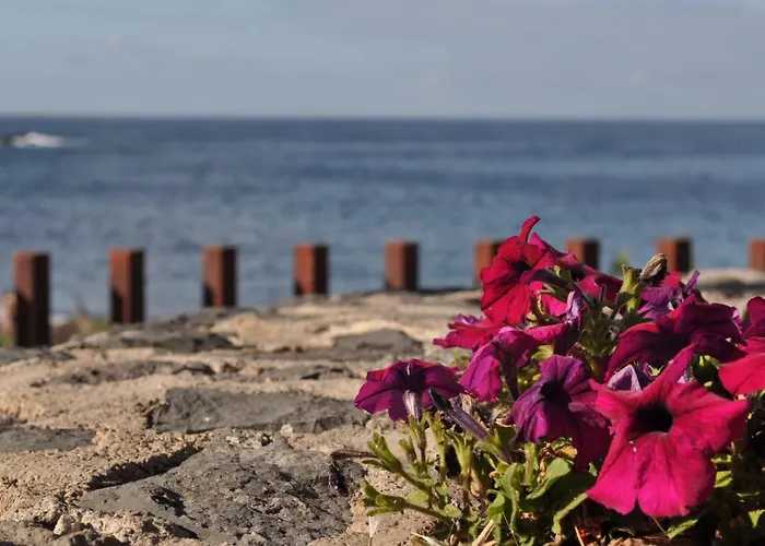 Luar Del Carmen 아파트 *